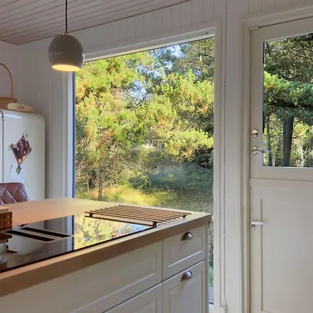 Hansa - 3km From The Sea By Interhome Blokhus